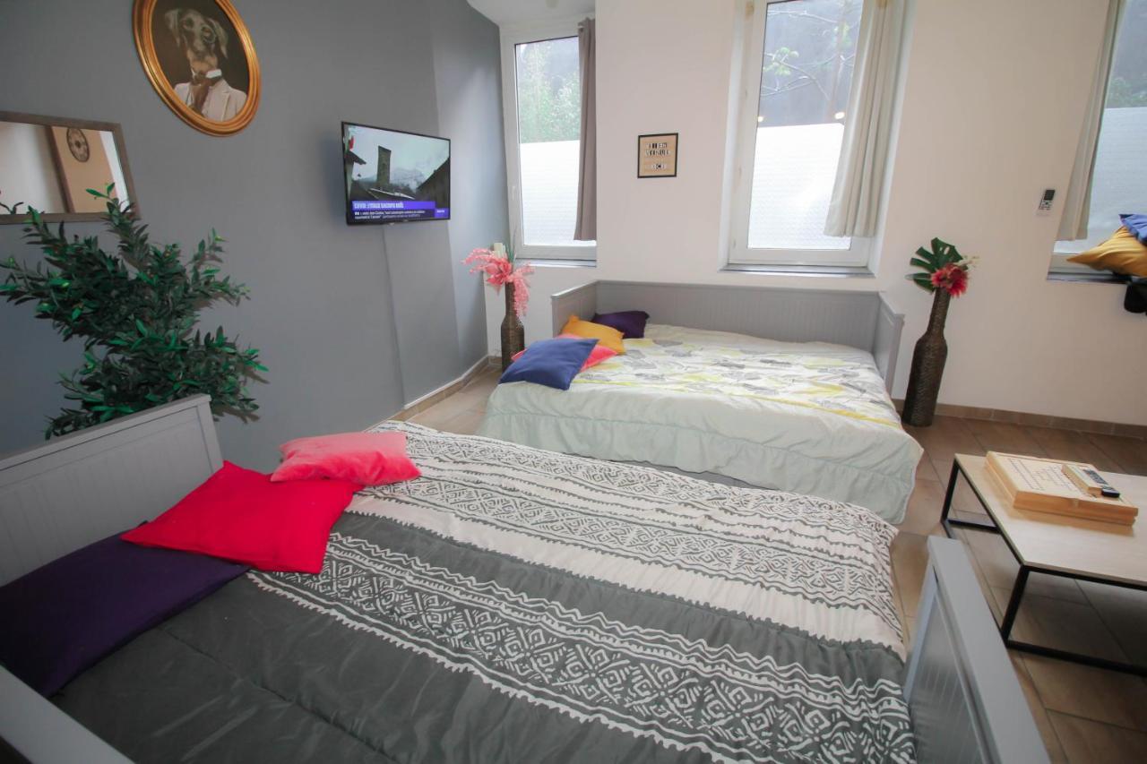 Calme En Centre Ville Appartement , Spacieux Et Renove A 50M De La Place Carnot Καρκασόν Εξωτερικό φωτογραφία